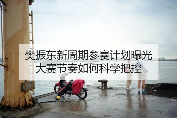 樊振东新周期参赛计划曝光 大赛节奏如何科学把控